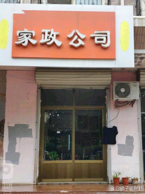 在我国老龄化问题日益凸显的当下,一种新型的家政服务应运而生,它既非